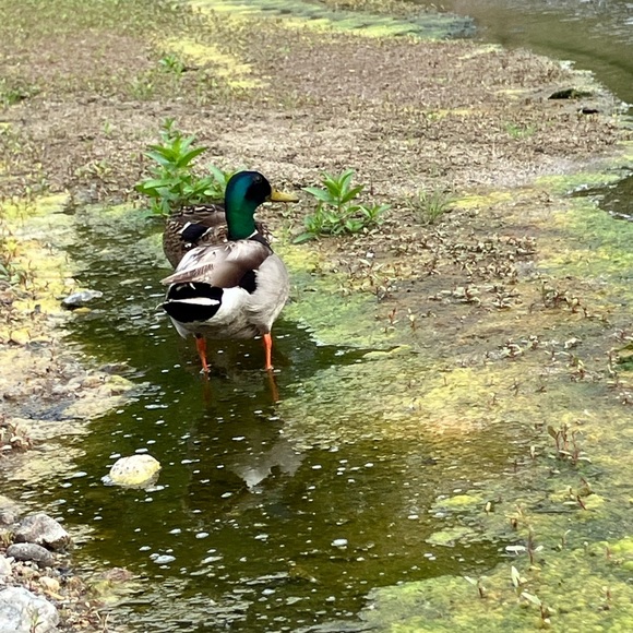 Hello there! - Picture 5 of 11